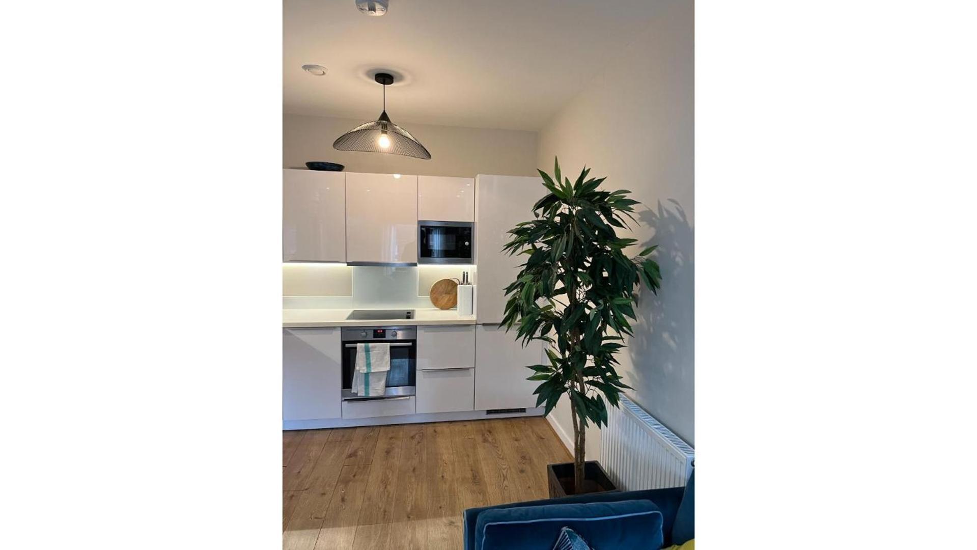 Fantastic Modern 2 Bedroom Flat In Lambeth London Kültér fotó